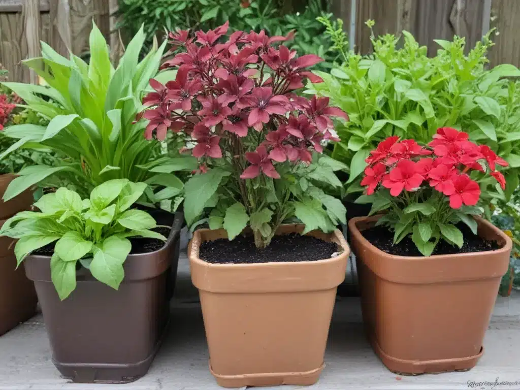 Get Growing! How to Start Seeds for Beautiful Container Gardens
